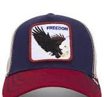 Goorin Bros The Freedom Eagle 0384