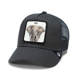 Goorin Bros Big Elephant