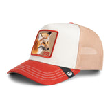 Goorin Tricolor Fox
