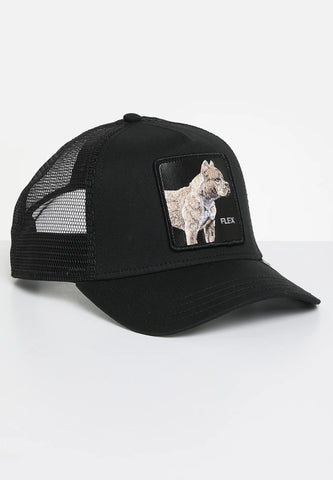Goorin Bros Pitbull