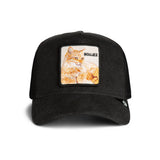 Goorin Bros Terry Cloth Cat