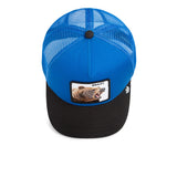 Goorin Beast Bear 2596