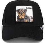 Goorin bros Dapper Rottweiler