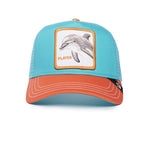 Goorin Bros Dolphin Fan