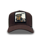 Goorin Bros Guard Dog