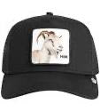 Goorin bros Him Trucker