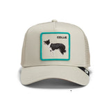 Goorin Shadow Border Collie