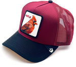 Goorin Bros Cardinal Fan