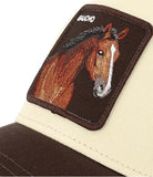 Goorin Gaucho trucker