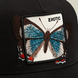 Goorin Over the line Butterfly