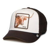 Goorin Over the Line Longhorn