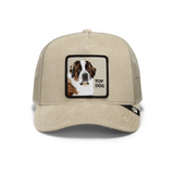 Goorin Corduroy Top Dog