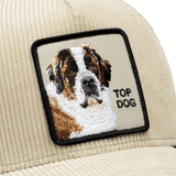 Goorin Corduroy Top Dog