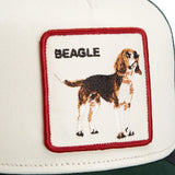 Goorin Shadow Beagle