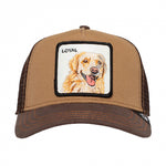 Goorin Bros The Loyal Dog 0505